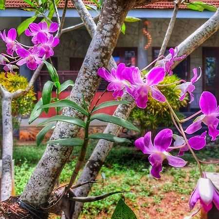 Vedic Heritage Boutique Hotel Kovalam Exteriér fotografie