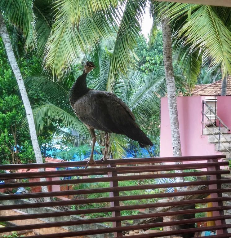 Vedic Heritage Boutique Hotel Kovalam Exteriér fotografie
